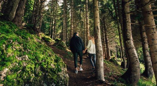 Torghele's Wald + Fluh - Wald Wellness im Hotel im Allgäu